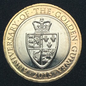 2013 Anniversary of the Guinea £2