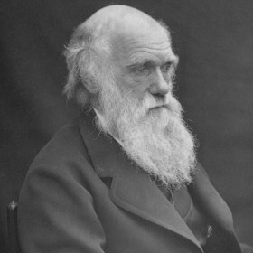 Charles Darwin Portrait