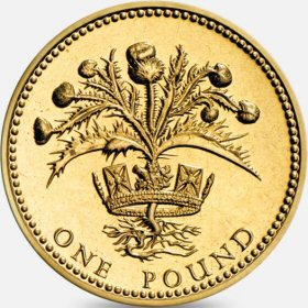 Reverse: Elizabeth II 1989 £1 Thistle