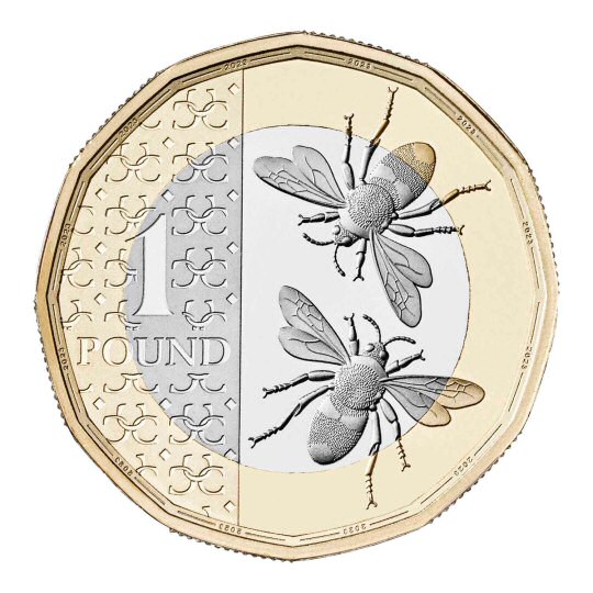 2023 £1 Coin Bees