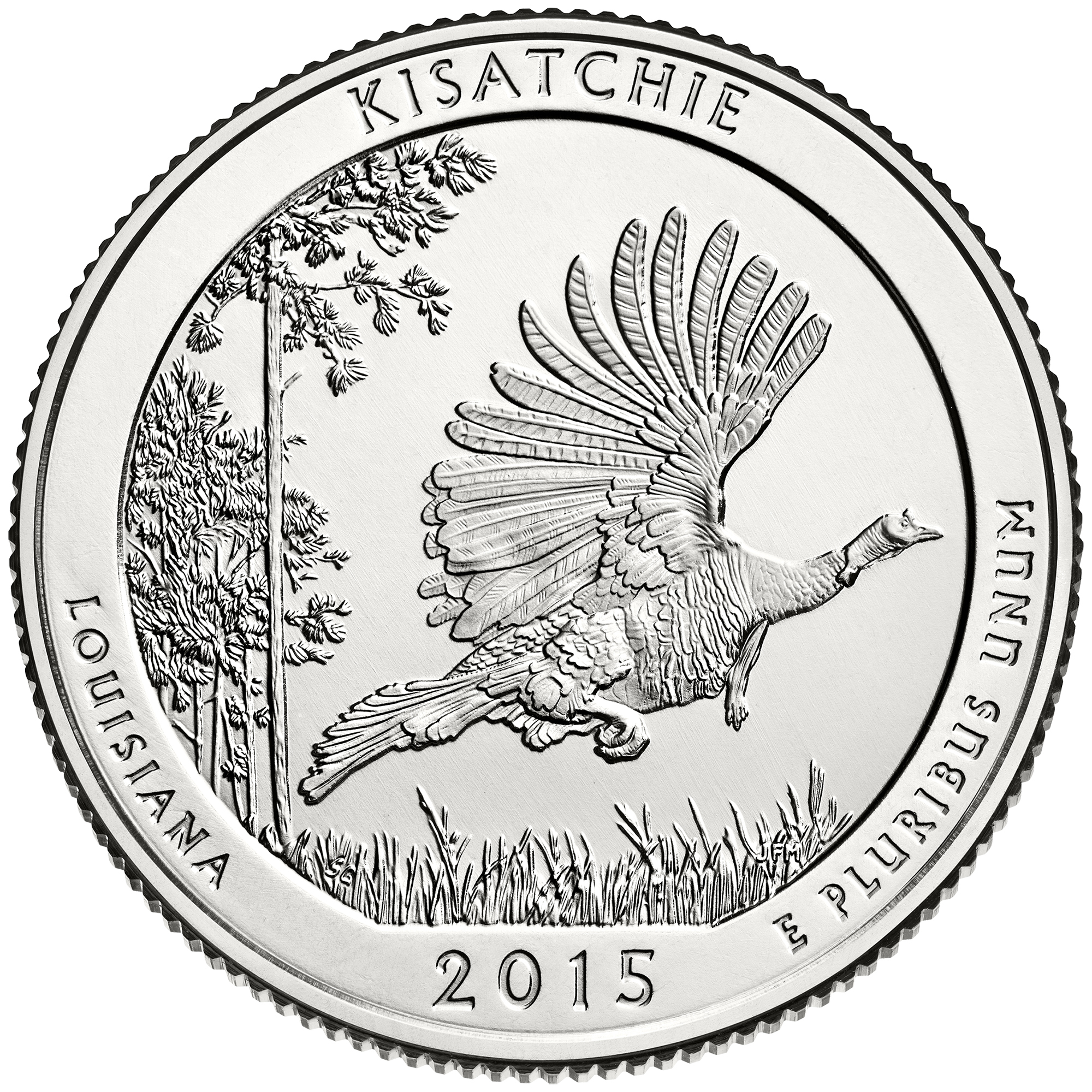 2015 Kisatchie National Forest